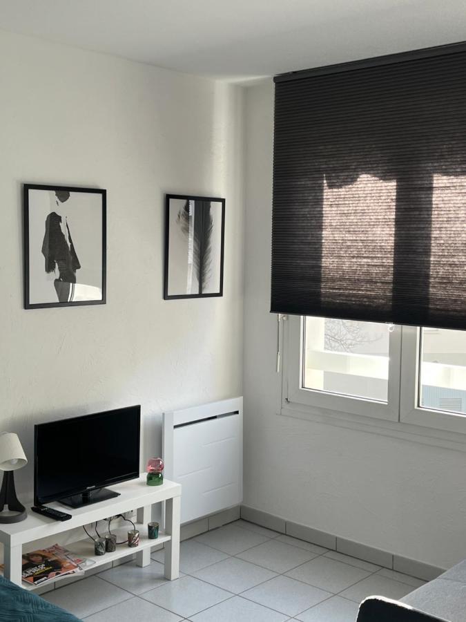 Zen-Itude Apartment Страсбург Екстериор снимка