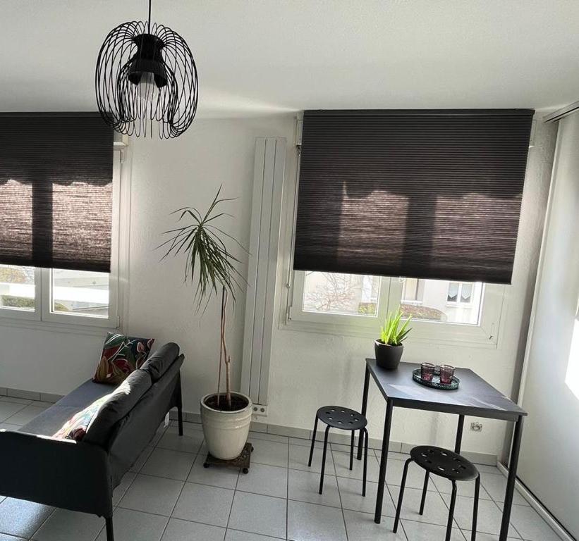 Zen-Itude Apartment Страсбург Екстериор снимка